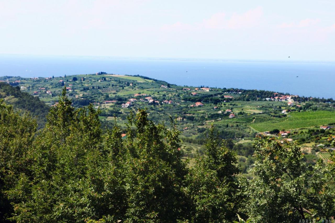Garden Ville Izola Mira Εξωτερικό φωτογραφία